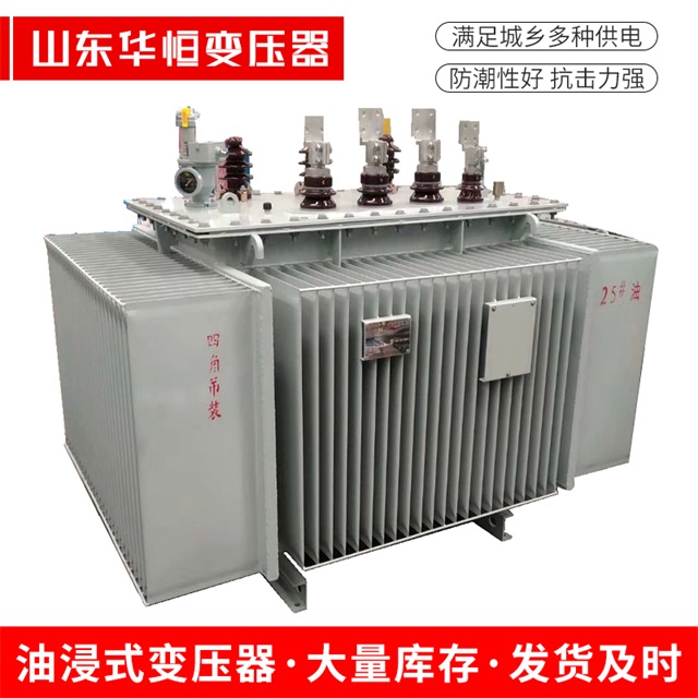 S13-10000/35廉江廉江廉江电力变压器厂家