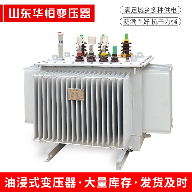 S13-10000/35廉江廉江廉江电力变压器