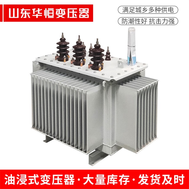 S11-10000/35廉江廉江廉江电力变压器价格